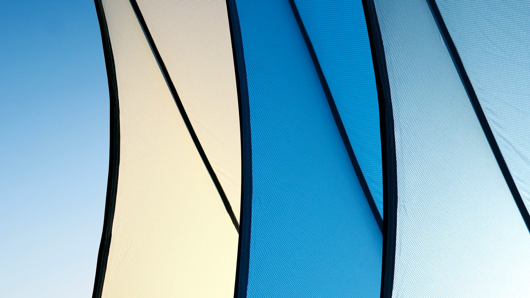 color of ladit